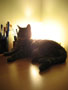 aggie sphinx.JPG